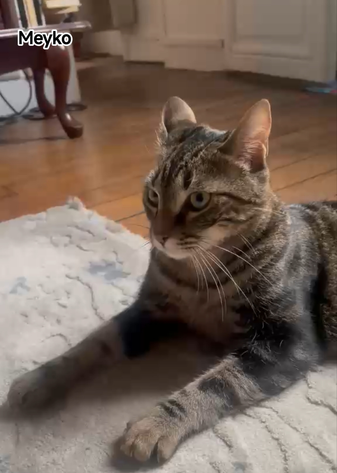 MEYKO