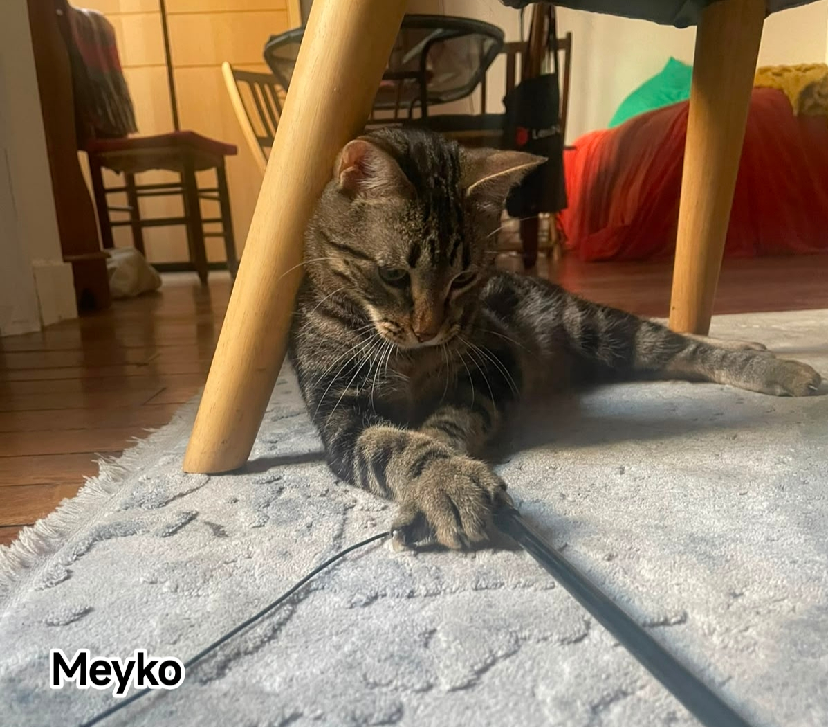 MEYKO