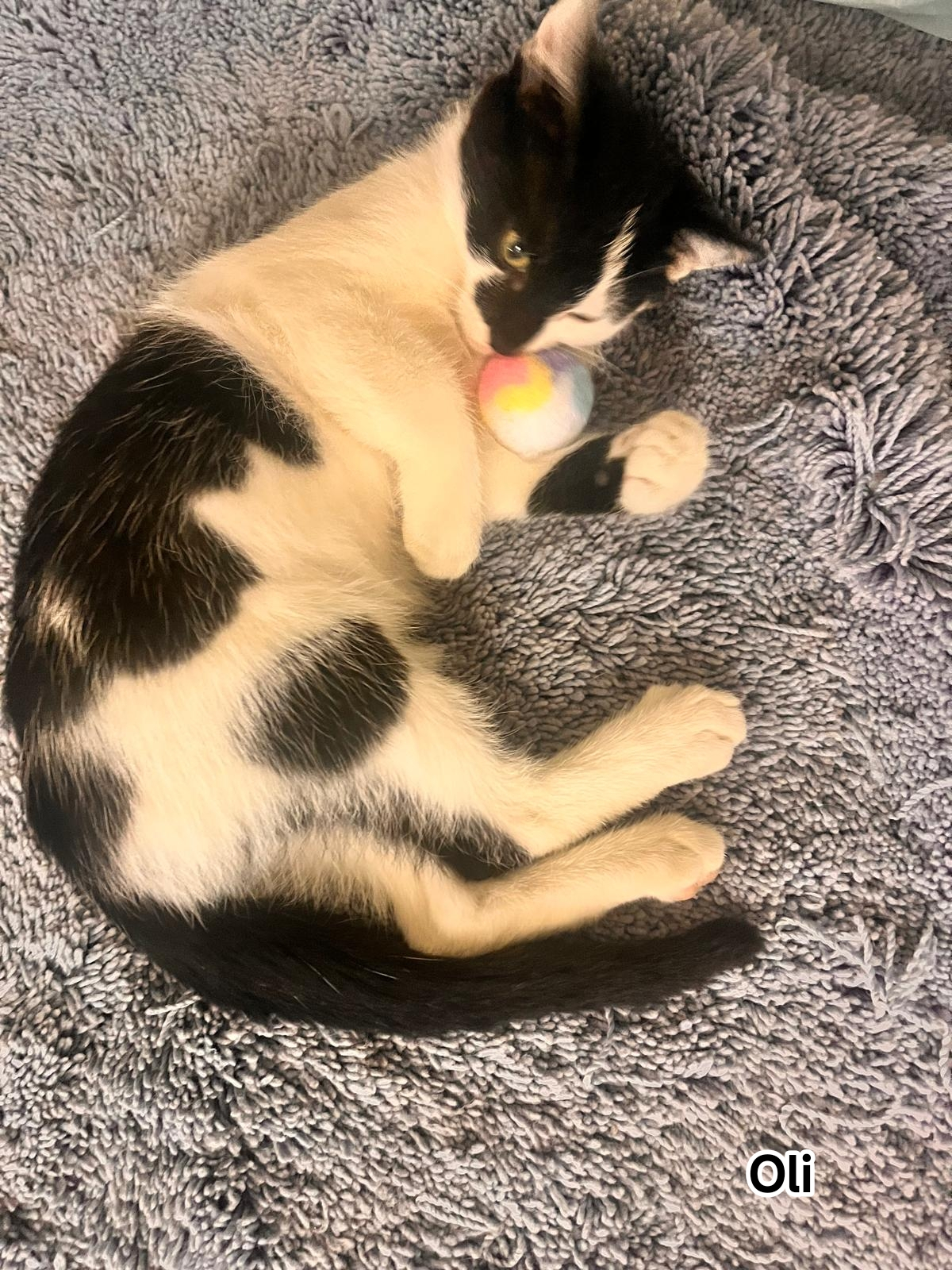 OLI
