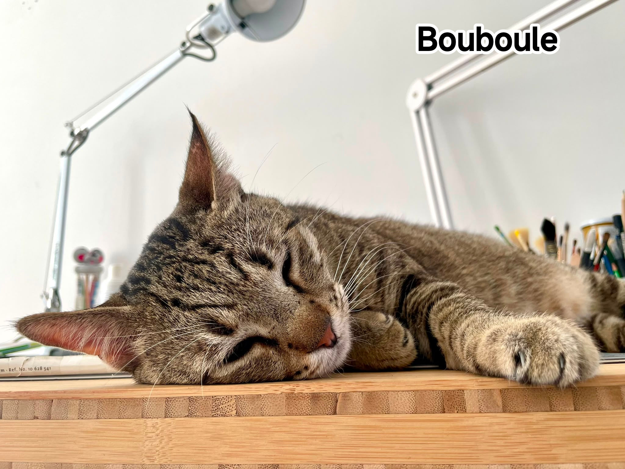 BOUBOULE
