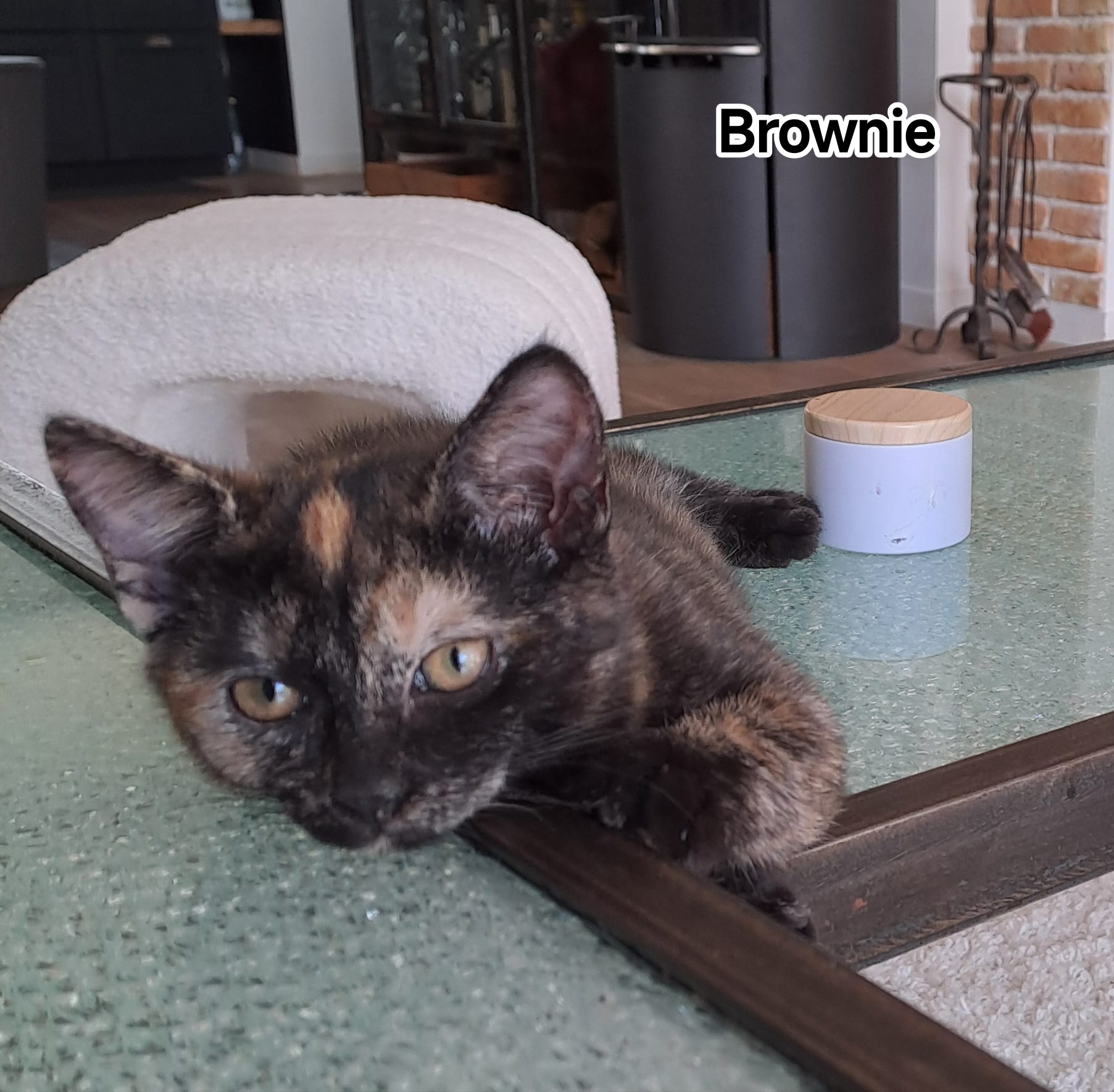 BROWNIE