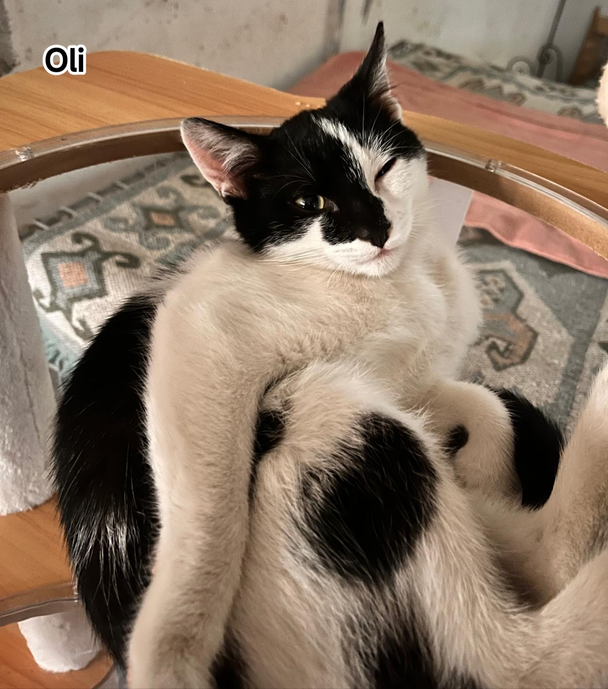 OLI