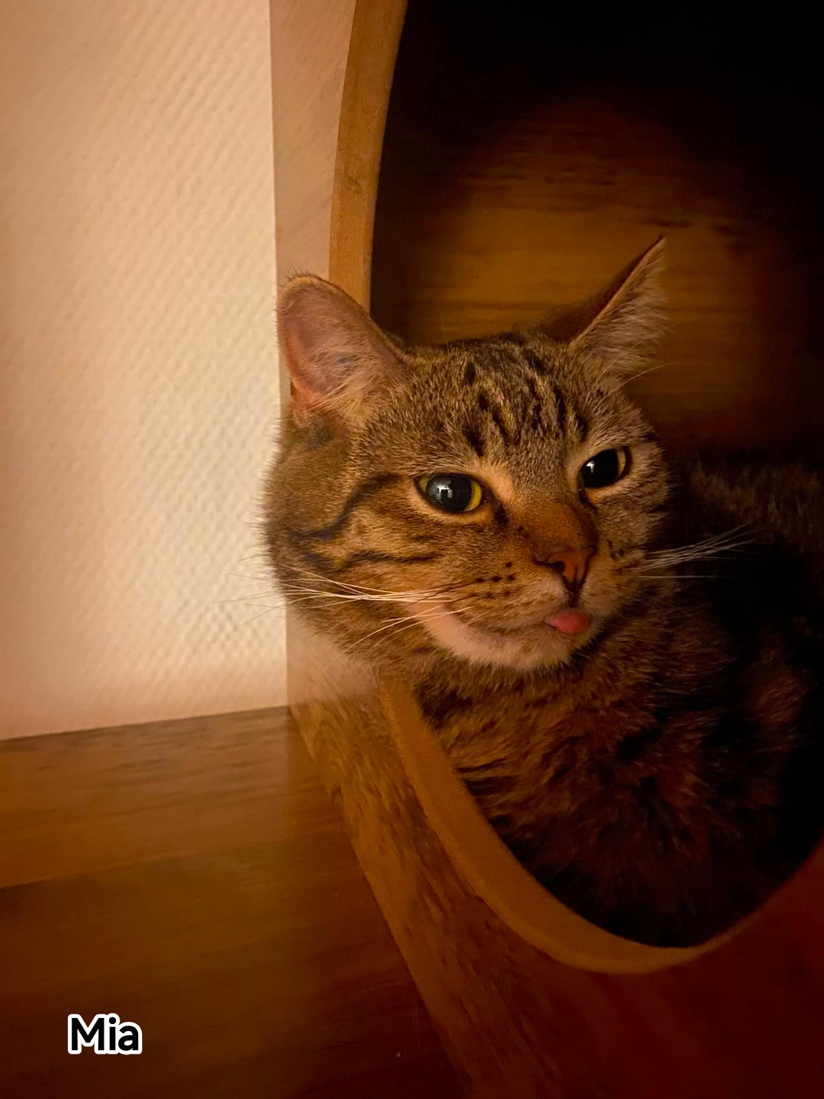MIA