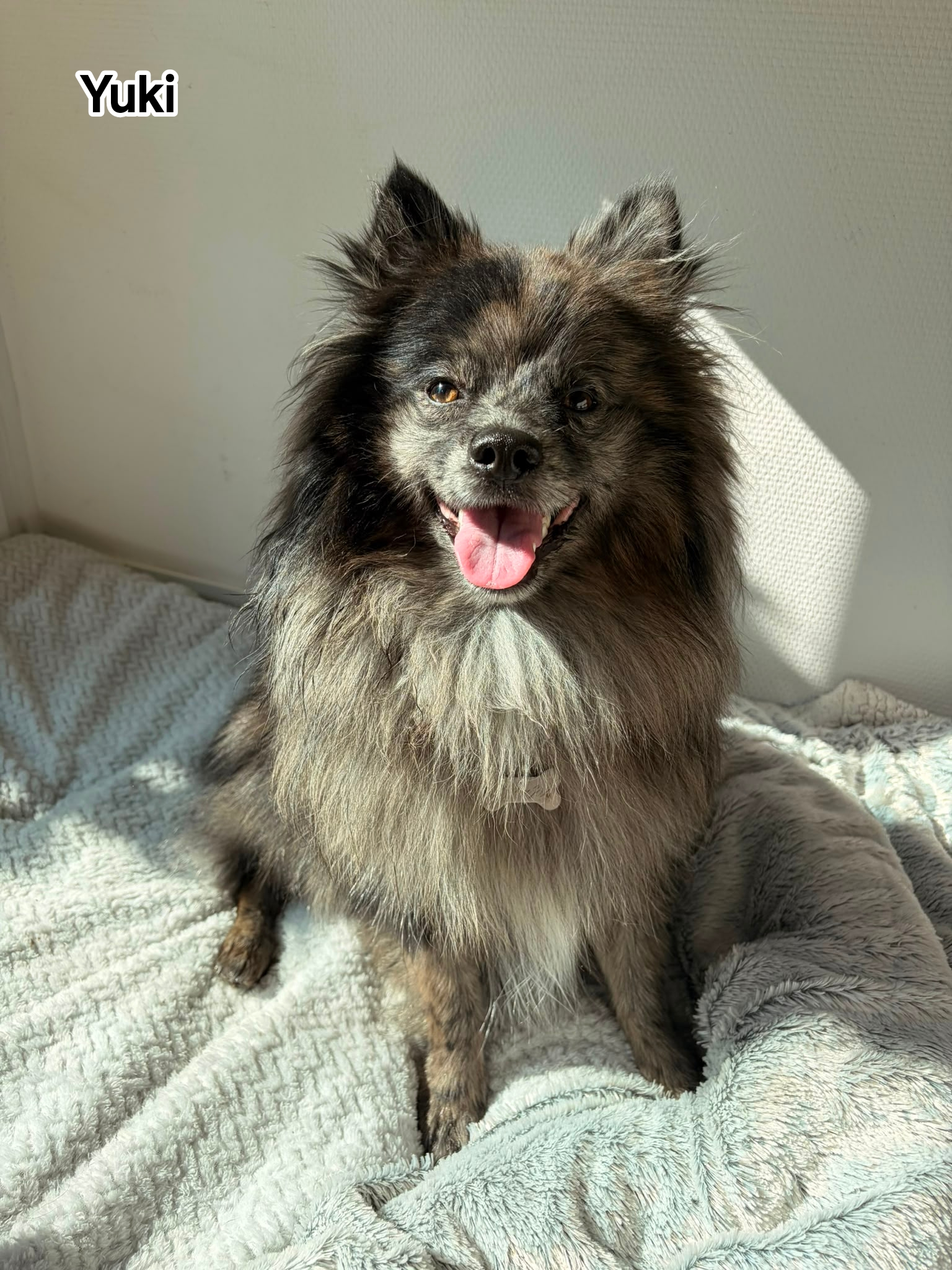 YUKI