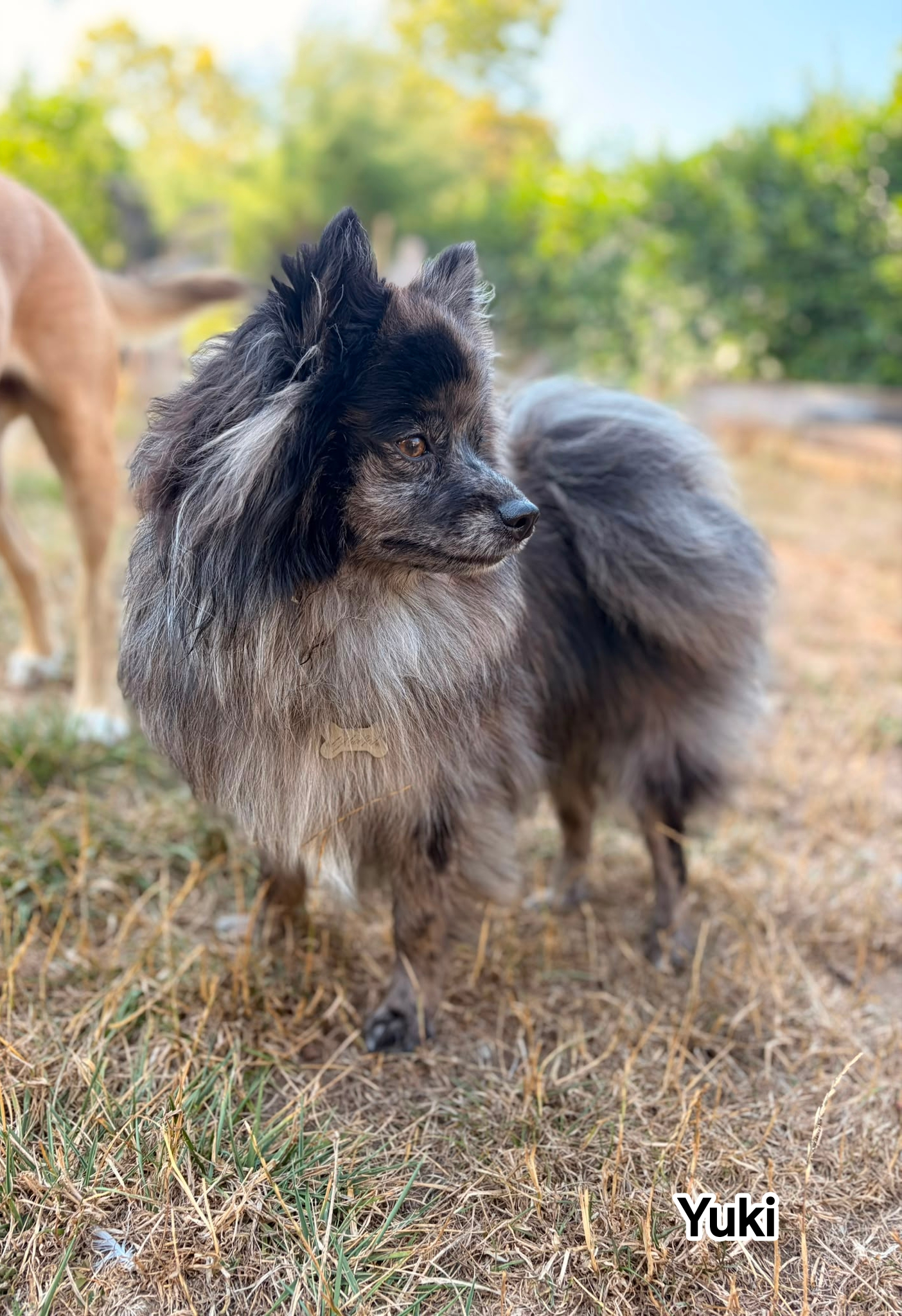 YUKI