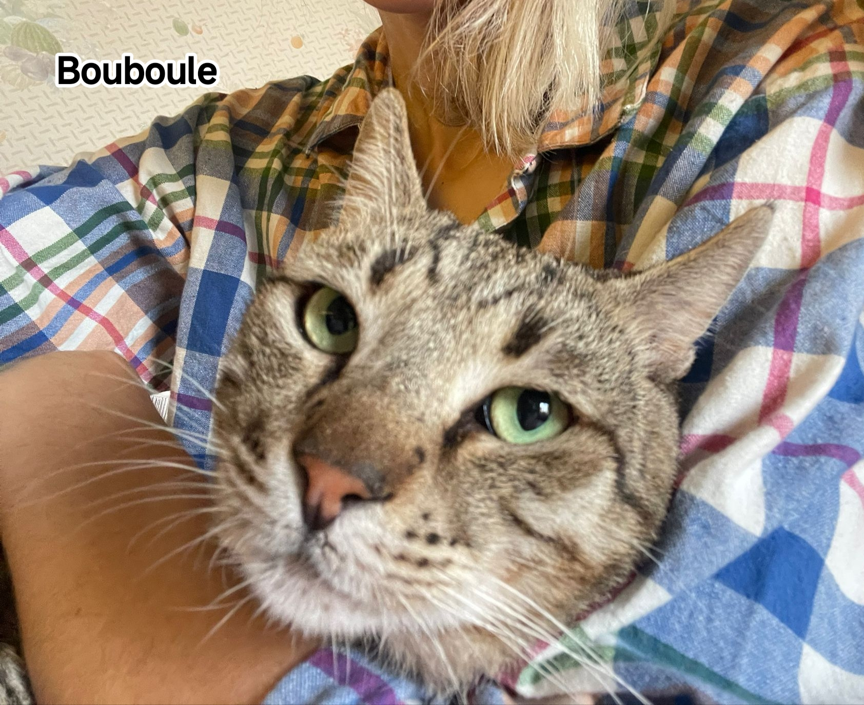 BOUBOULE