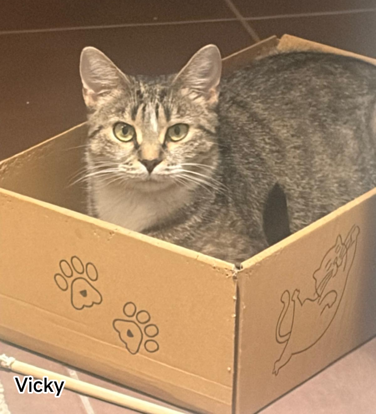 VICKY