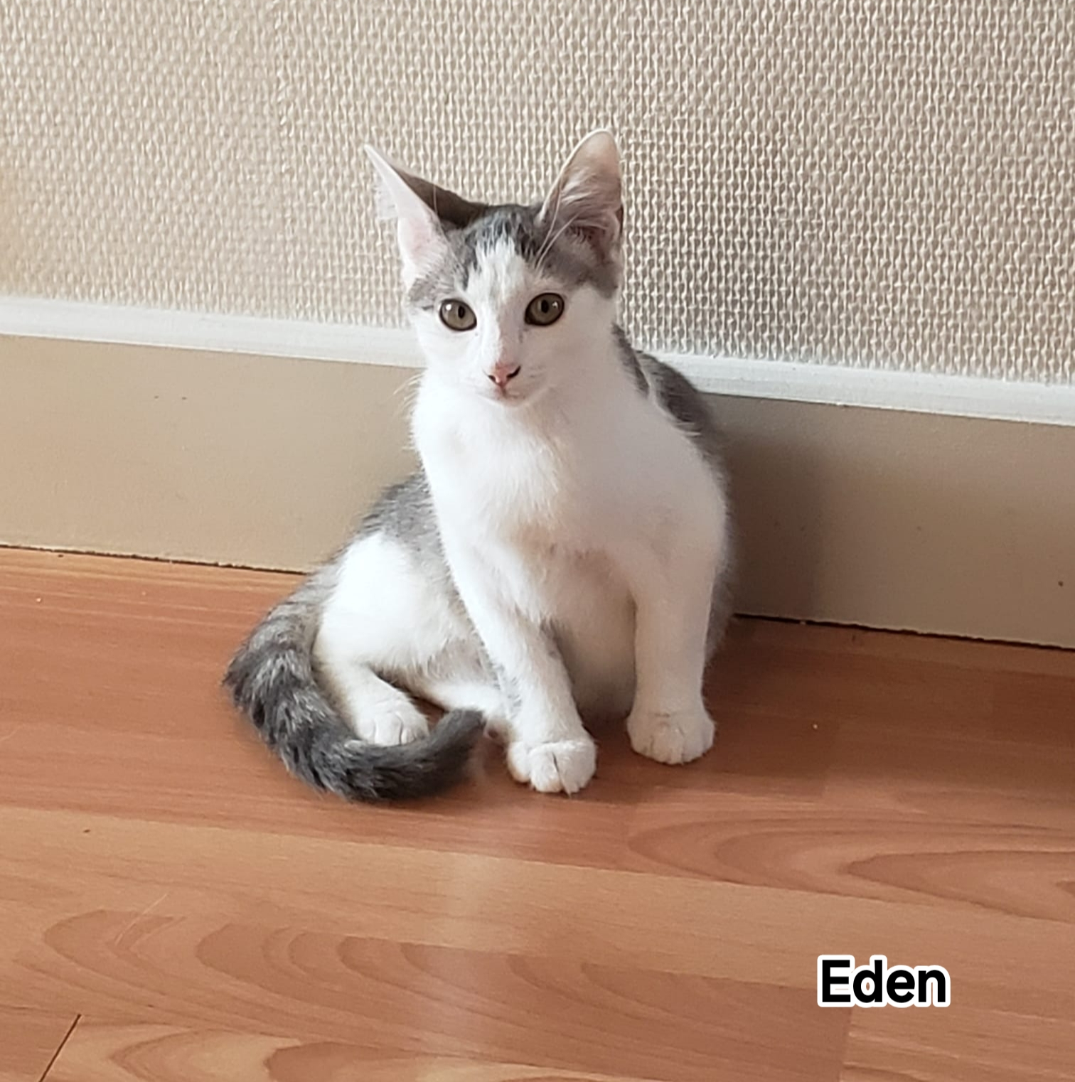 EDEN