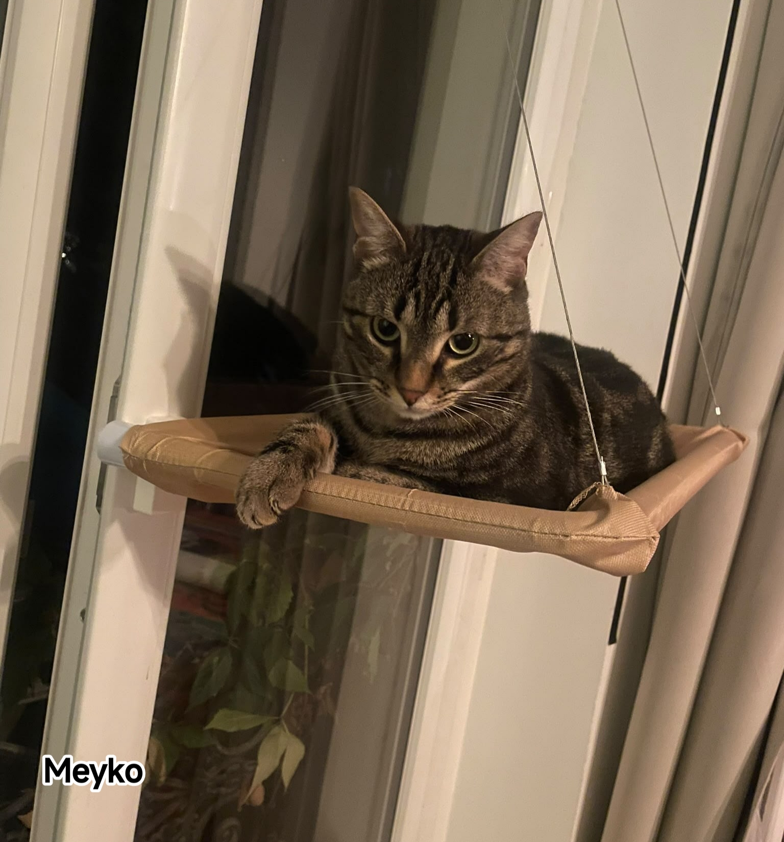 MEYKO