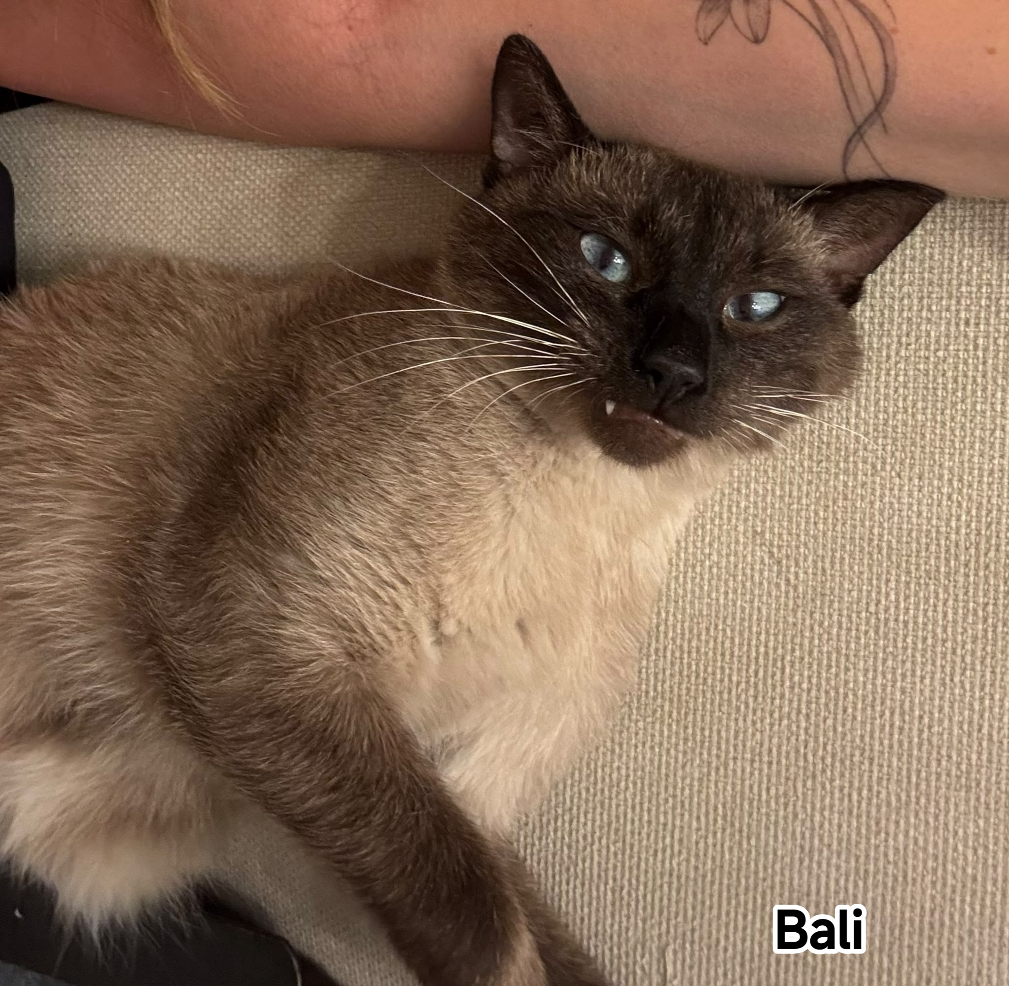 BALI