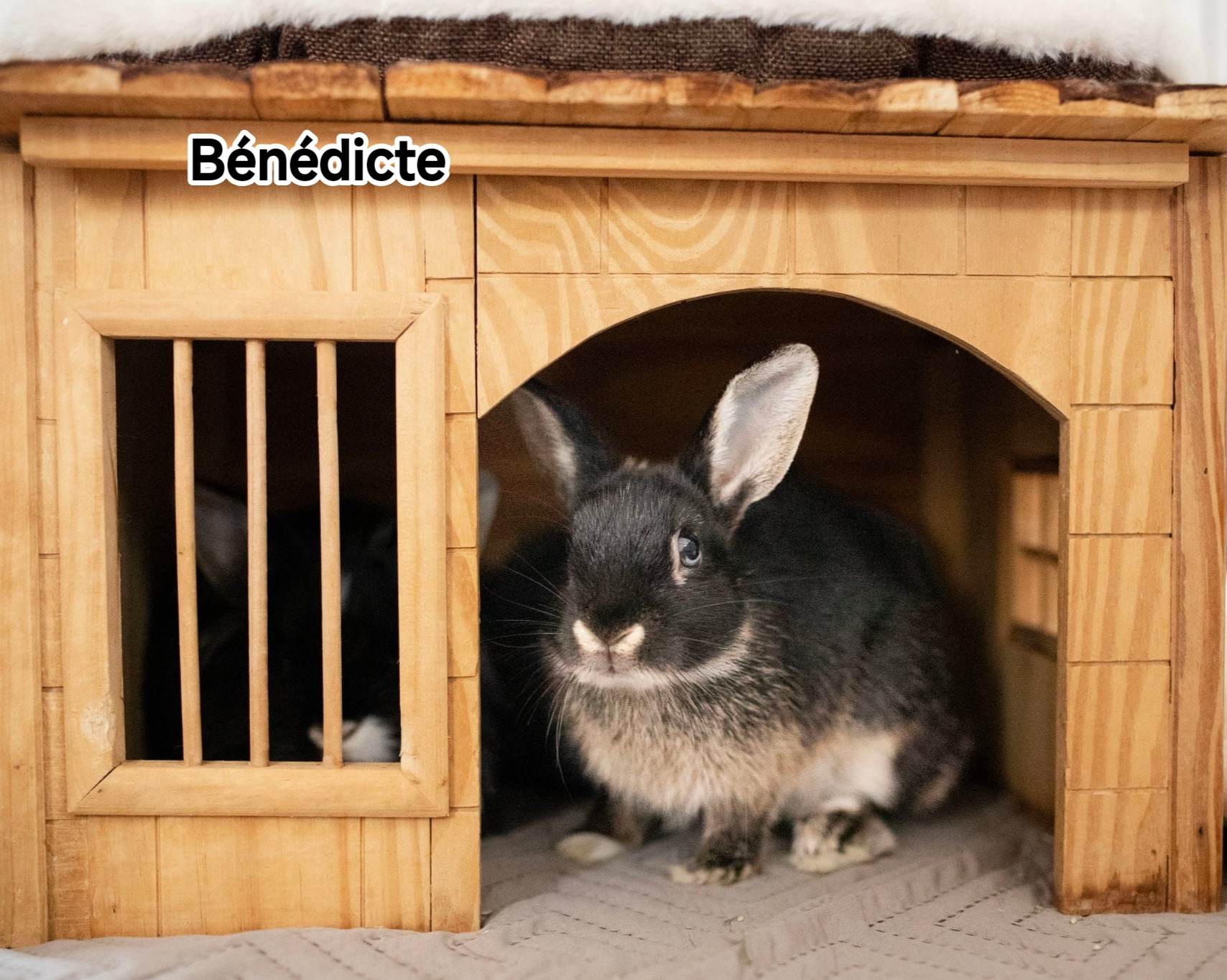 BENEDICTE