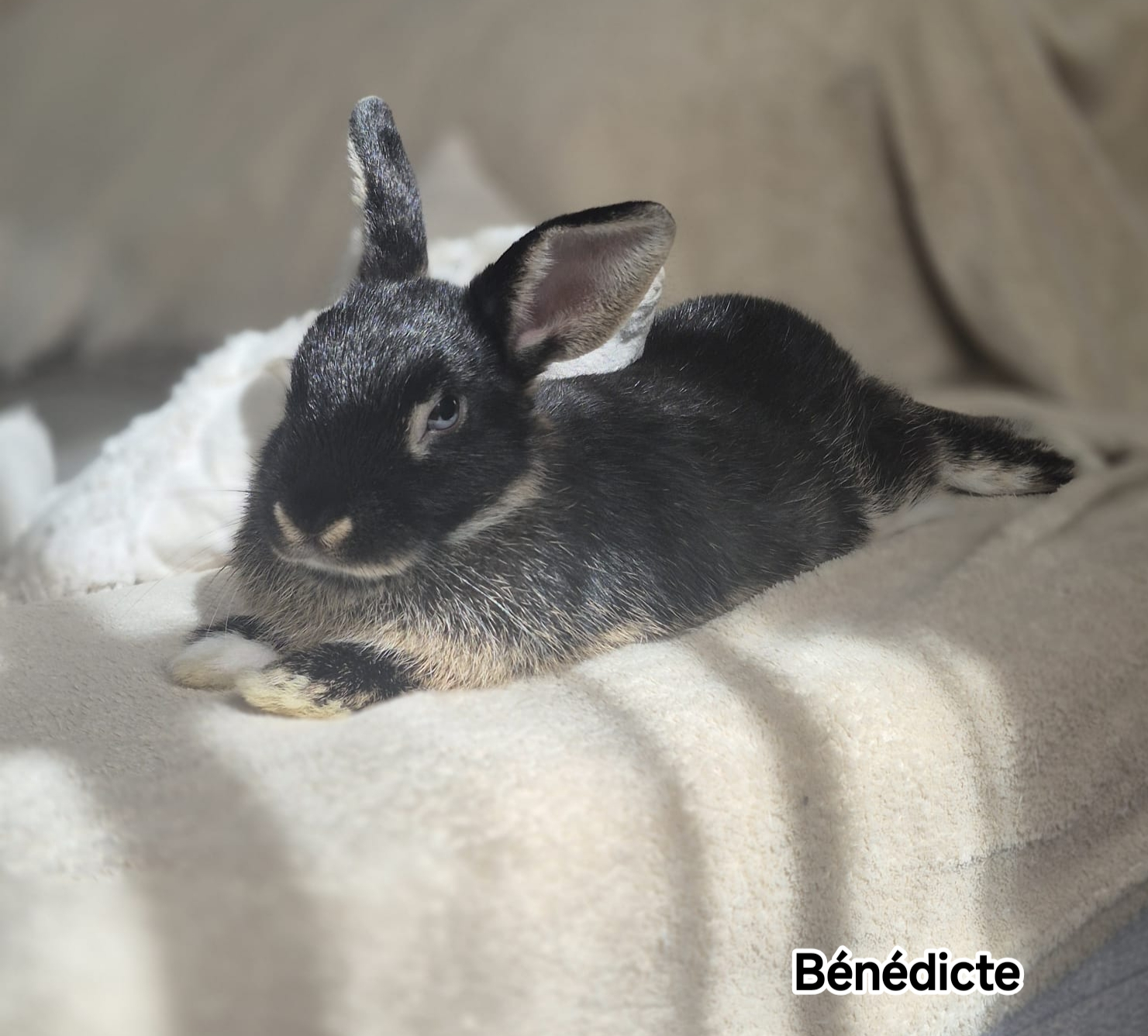 BENEDICTE