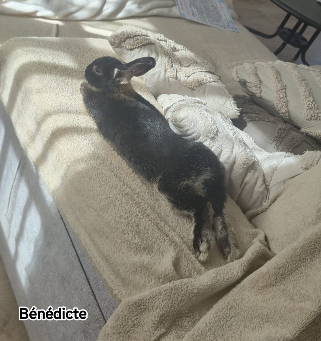 BENEDICTE