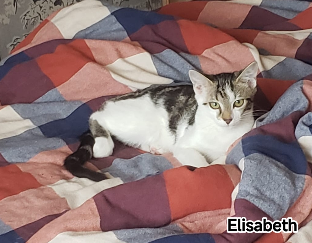 ELISABETH