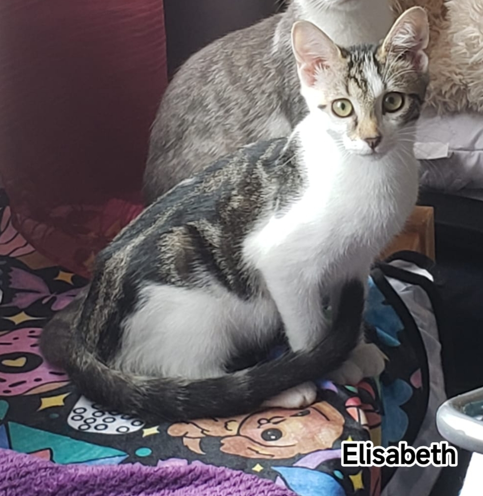 ELISABETH