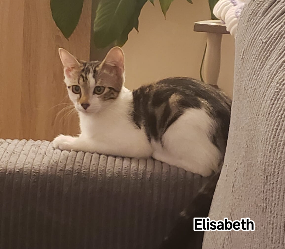 ELISABETH