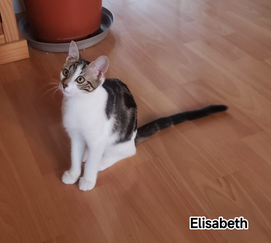 ELISABETH