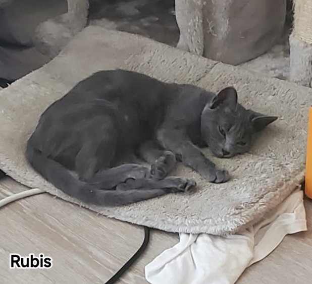 RUBIS
