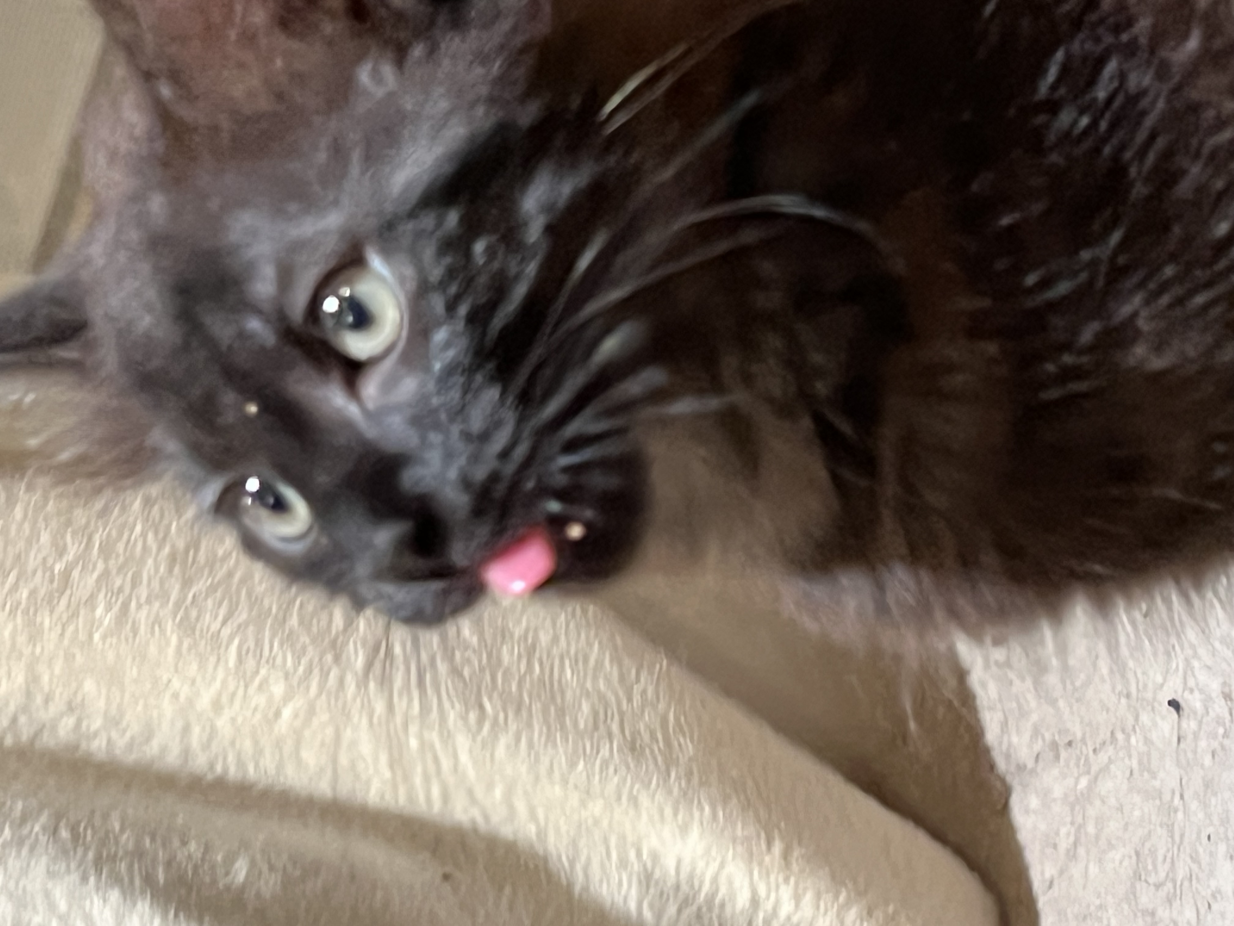 ARES