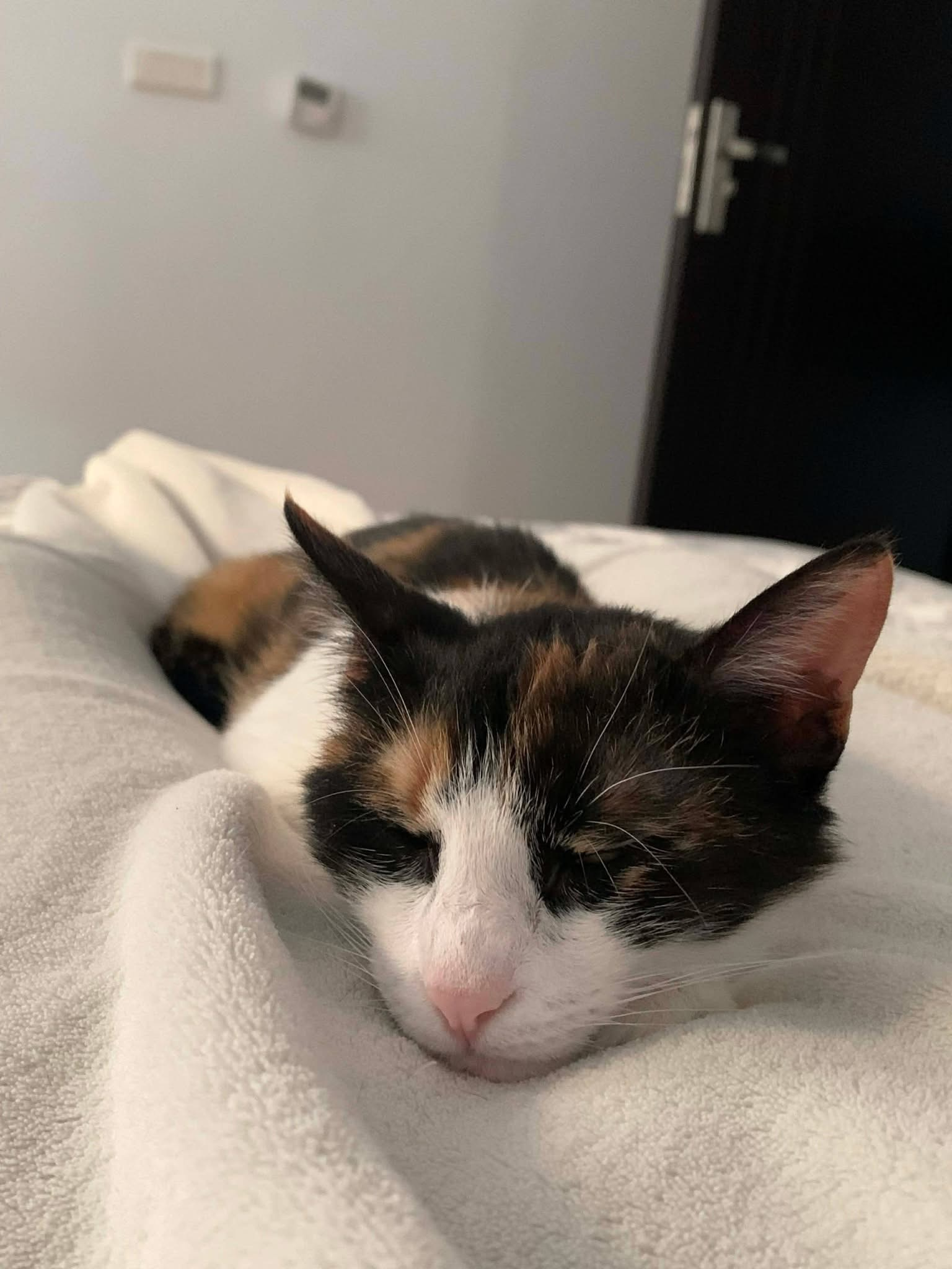 Mimi