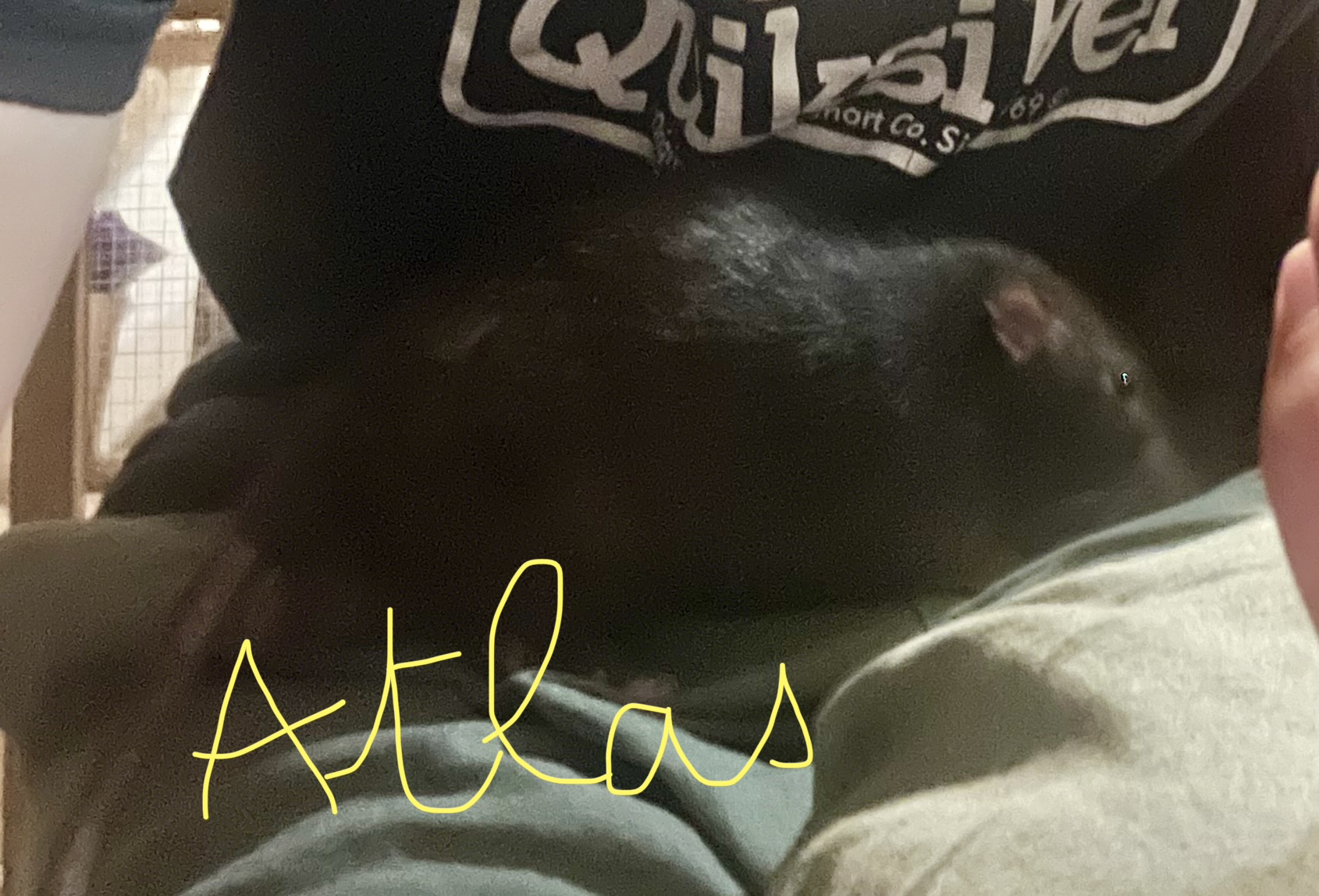 ATLAS