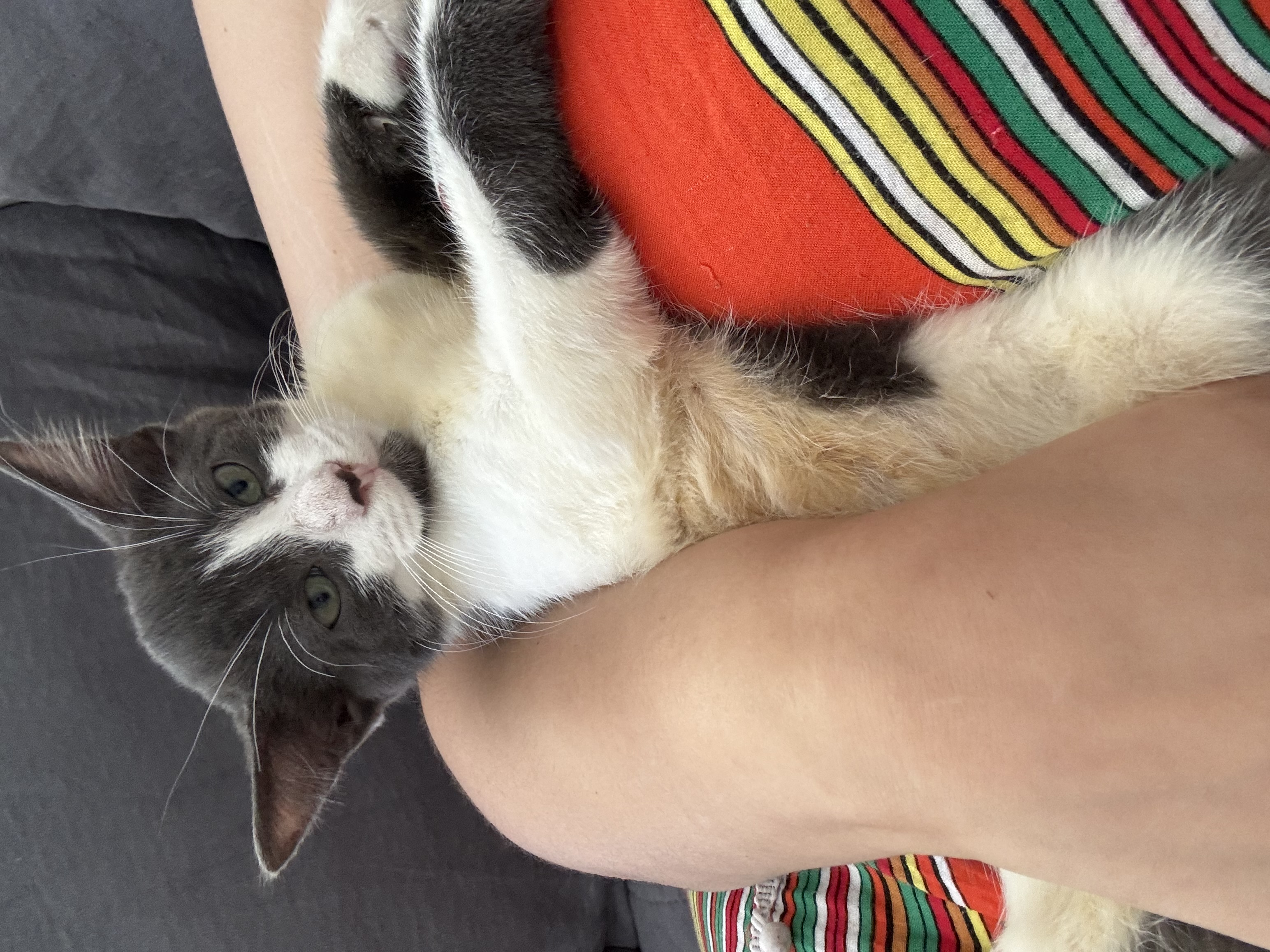 YUKI
