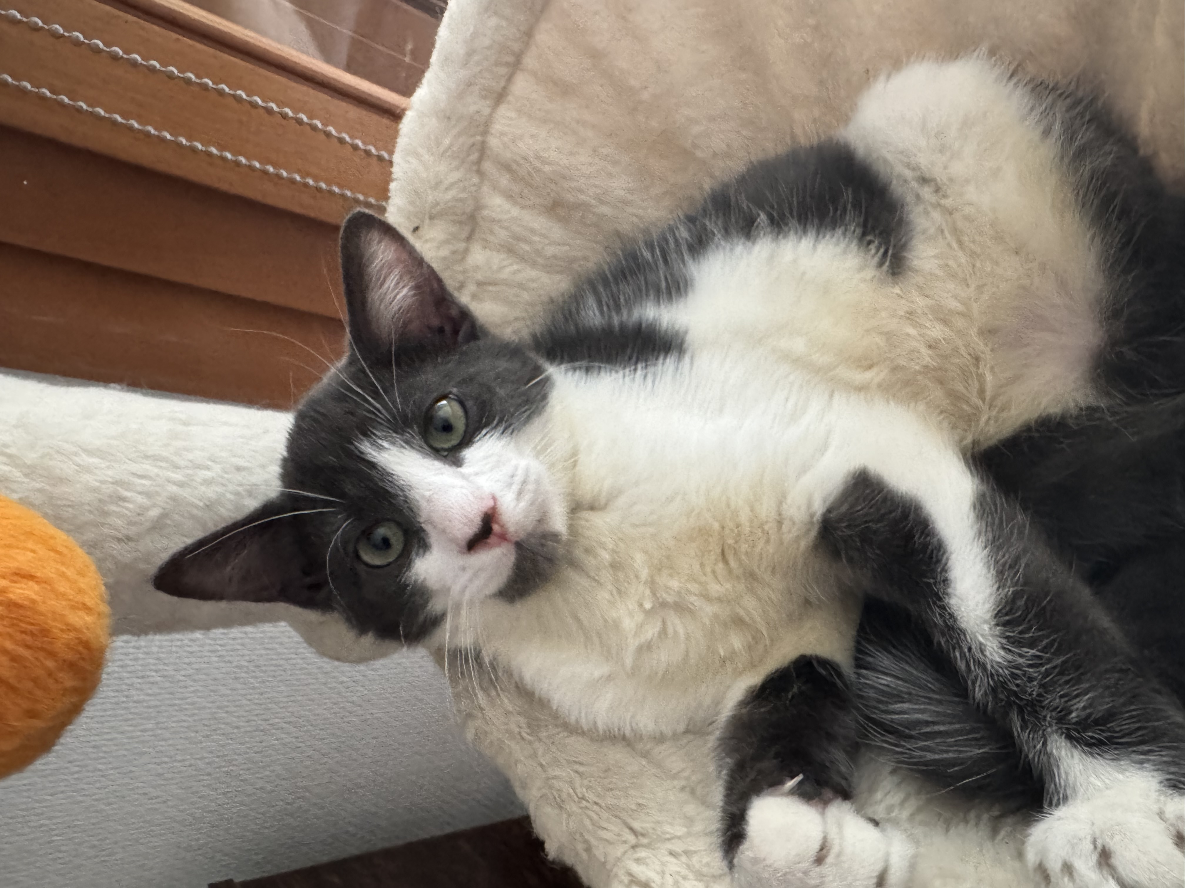 YUKI