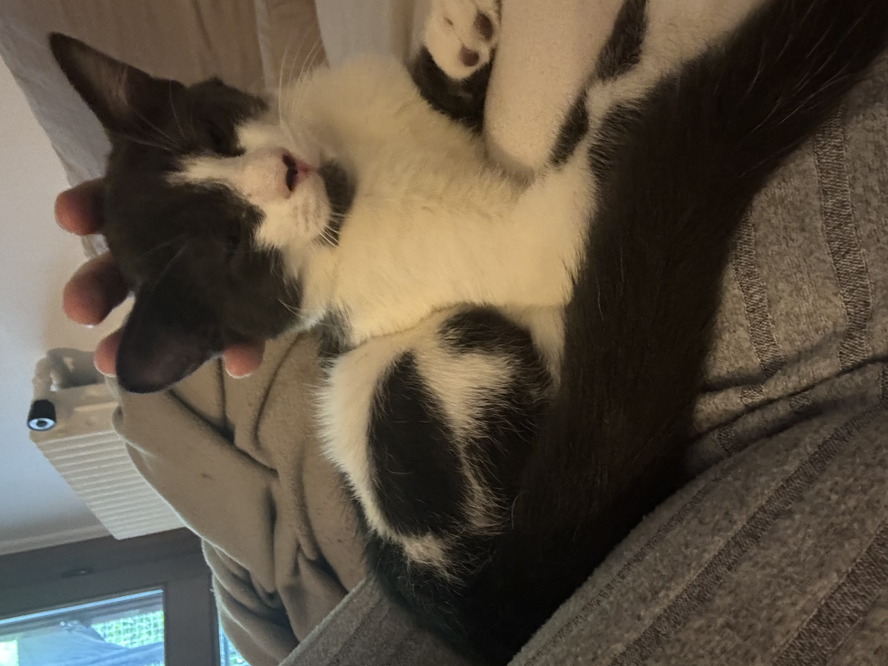 YUKI