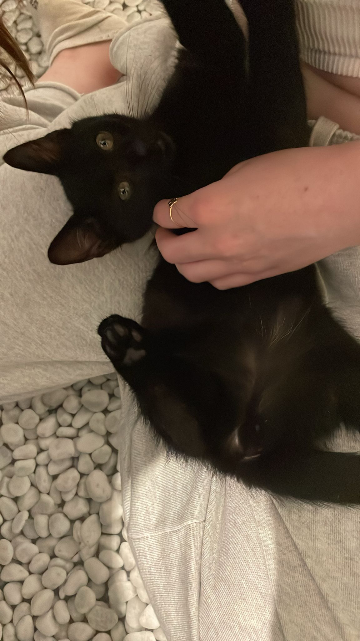 KURO