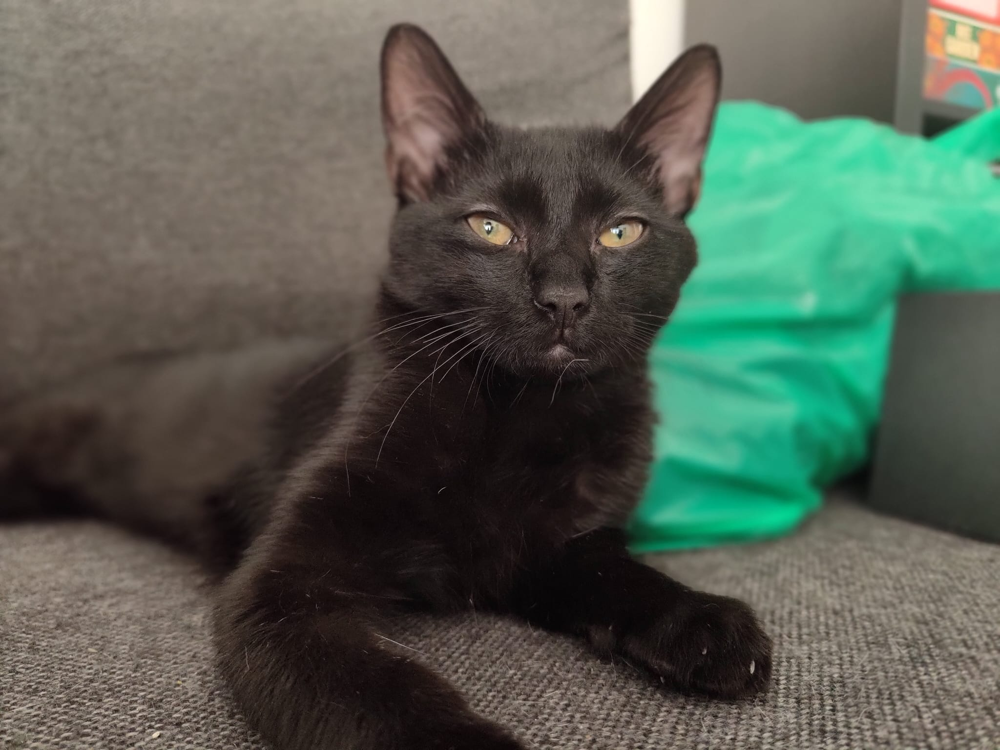 KURO