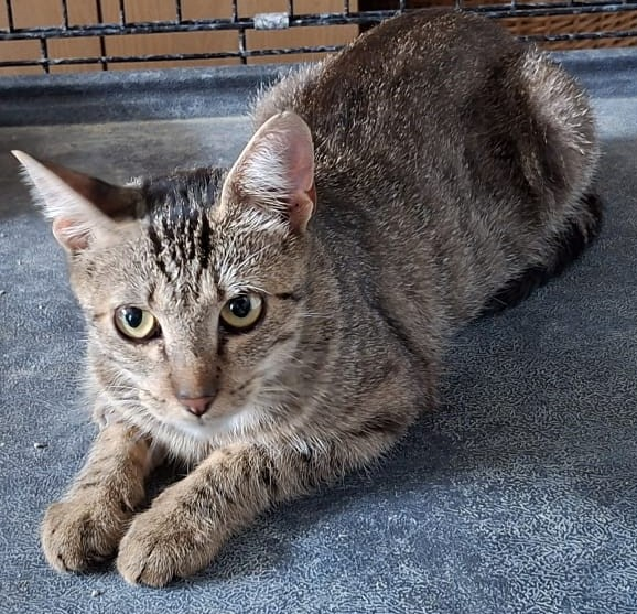 LUNA