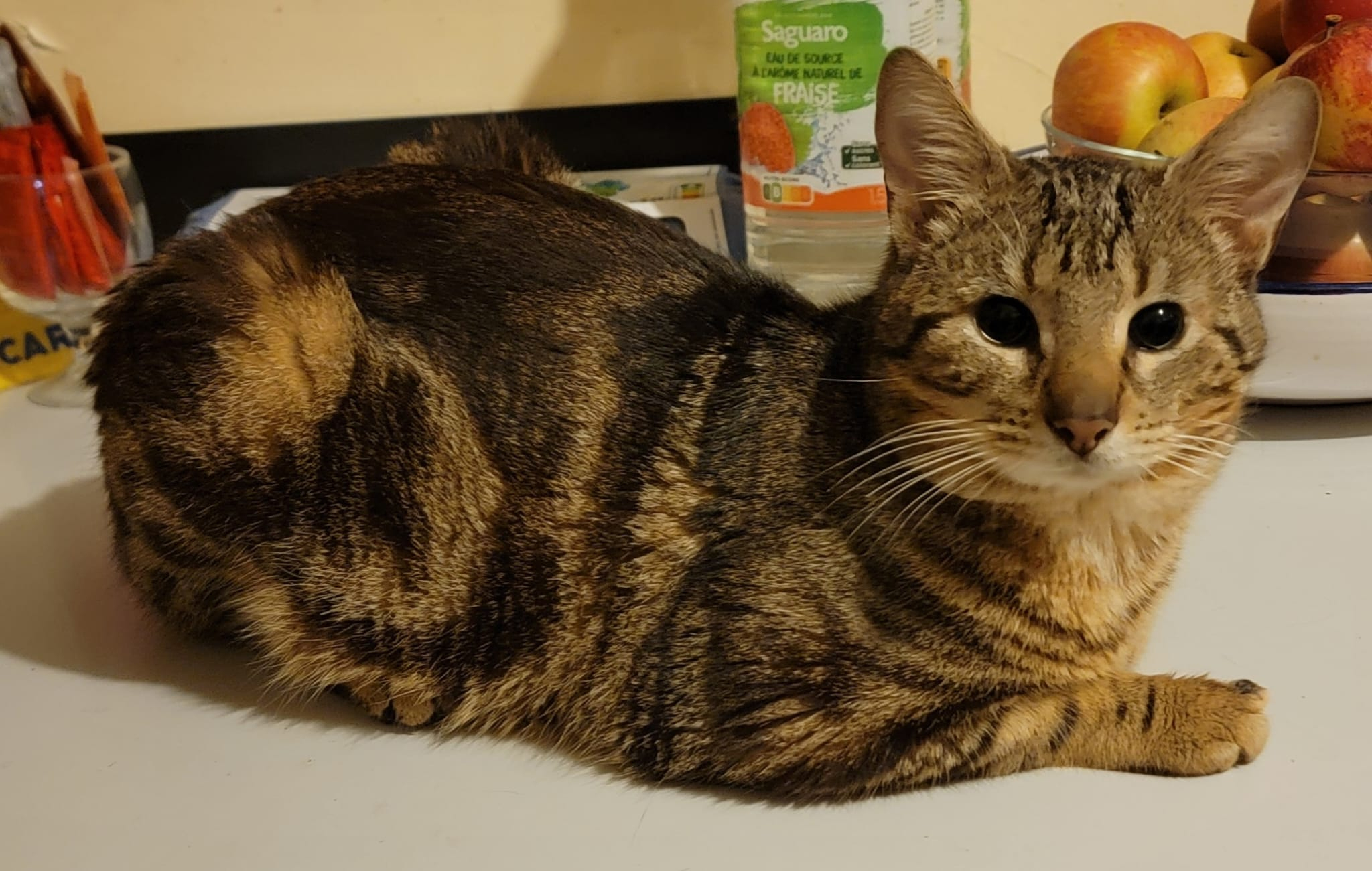MANX
