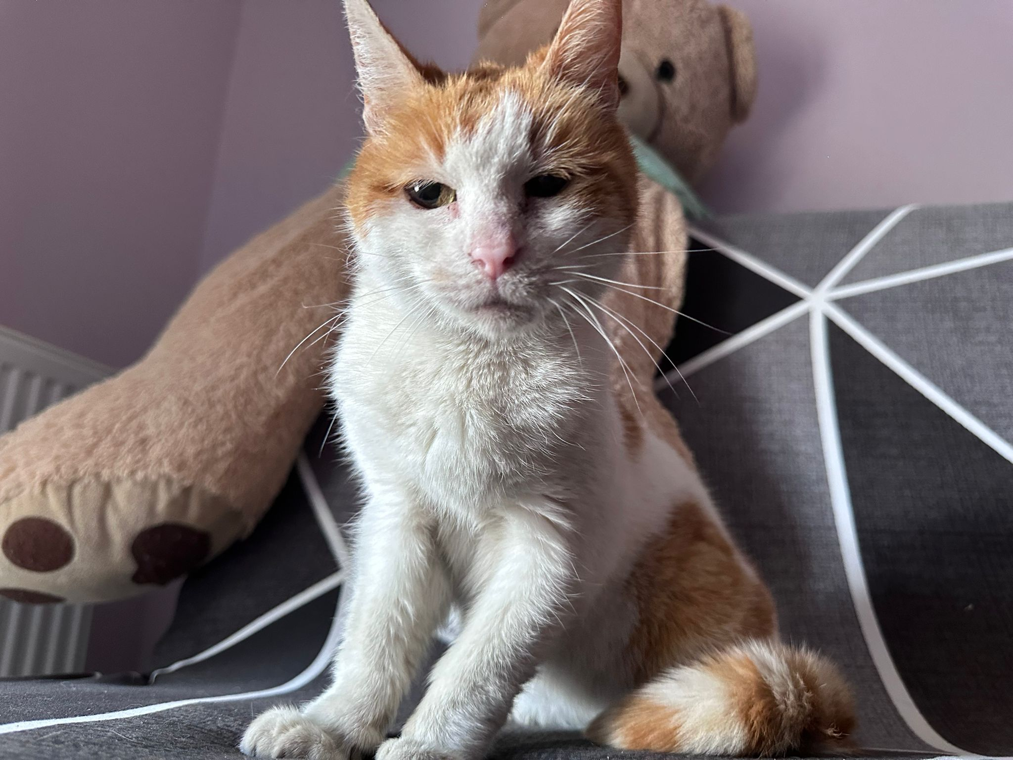 MELBA
