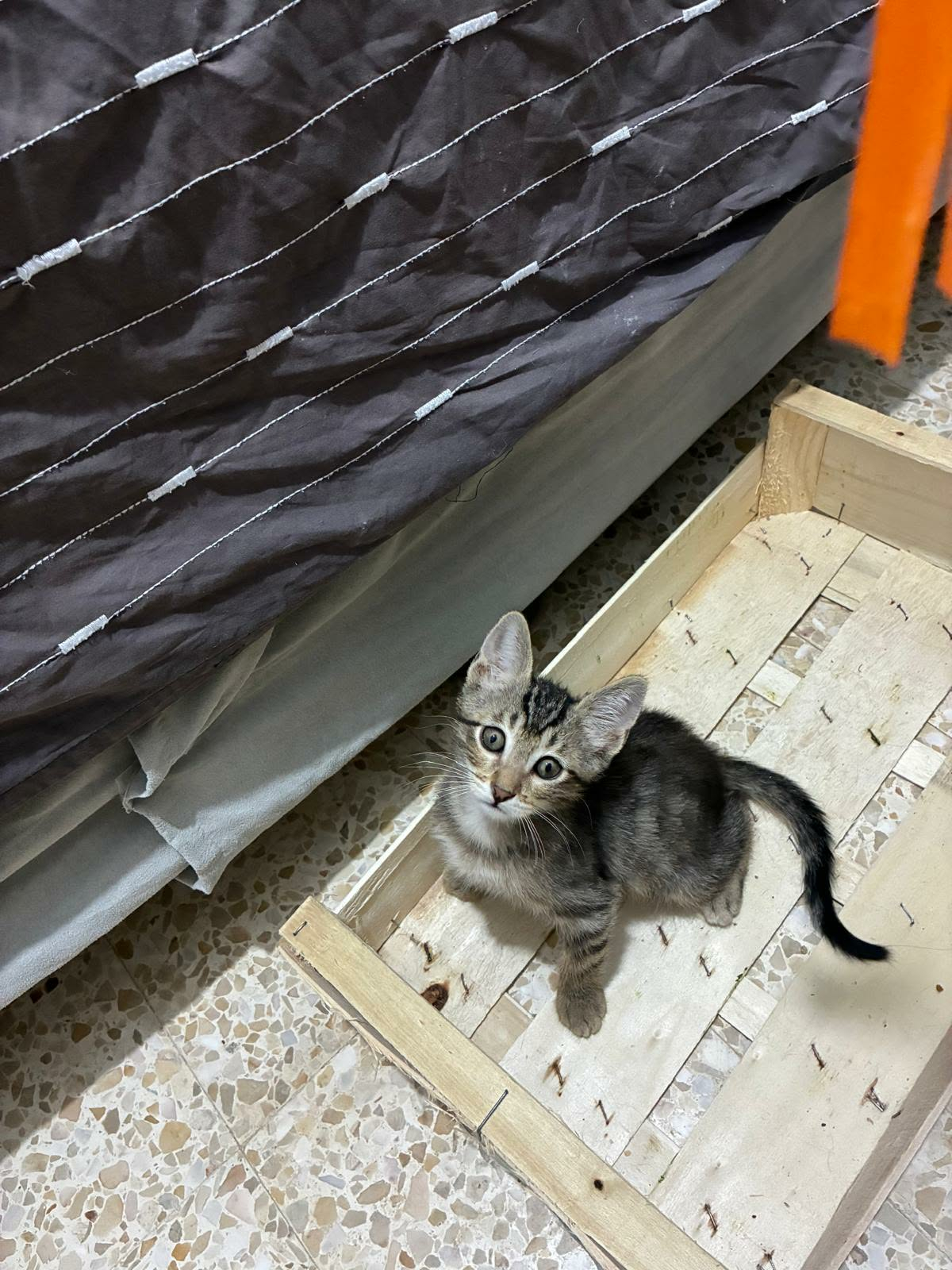 MIKO