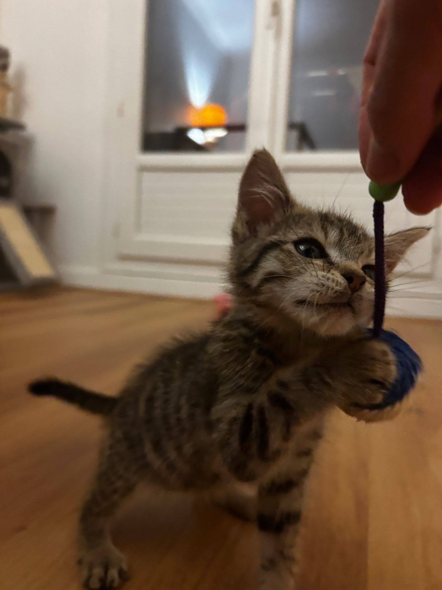 ORI
