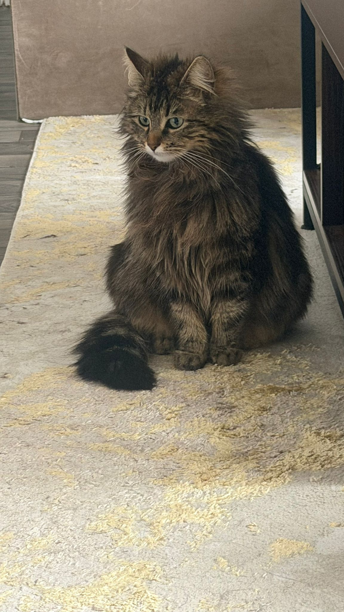 YUKI