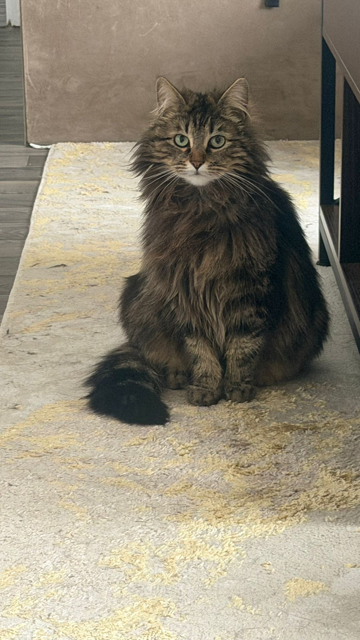 YUKI