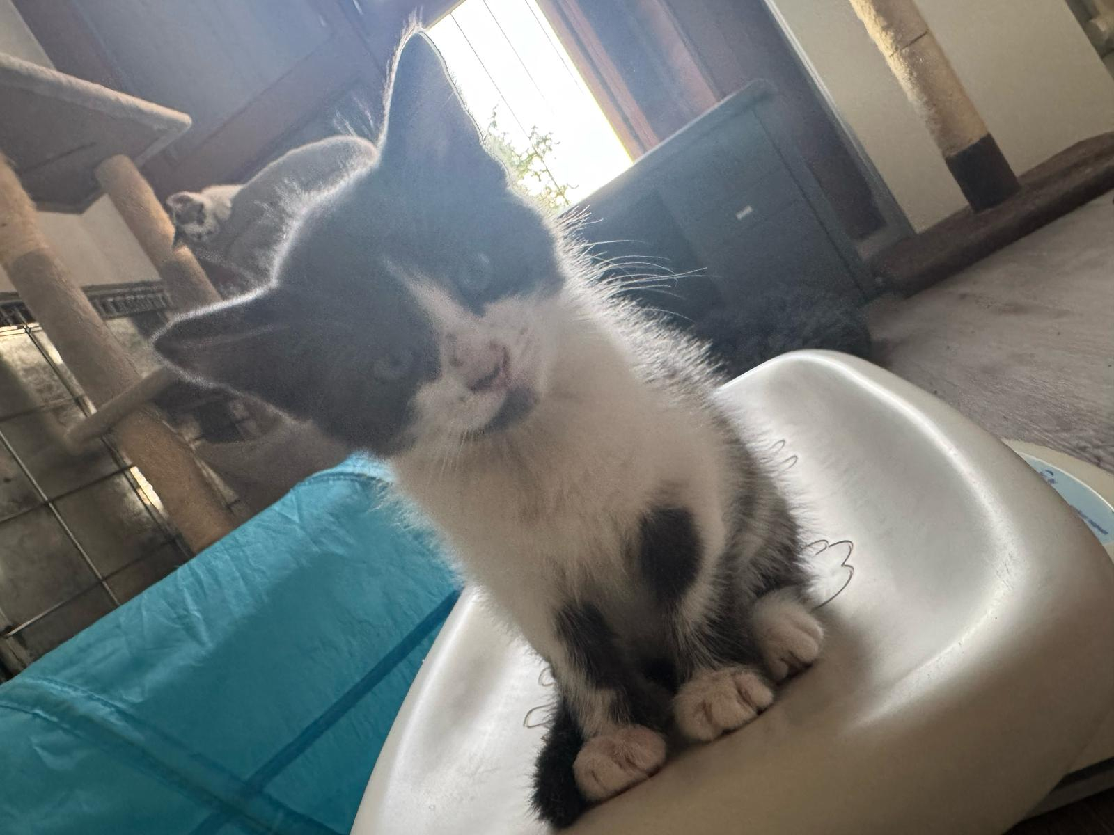 YUKI