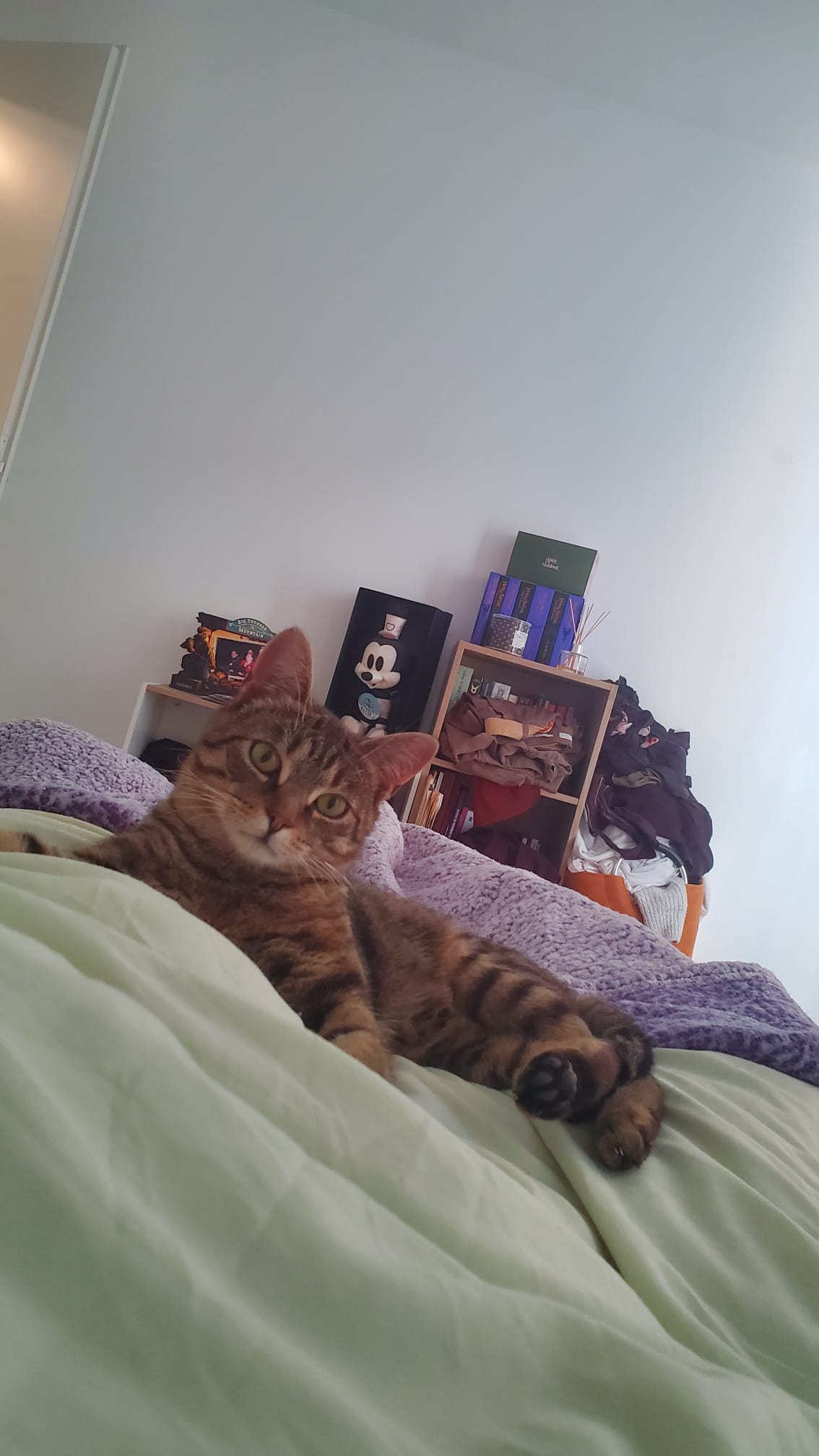 ZORO