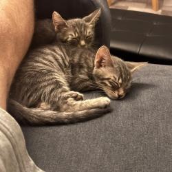 Chat - YUNA