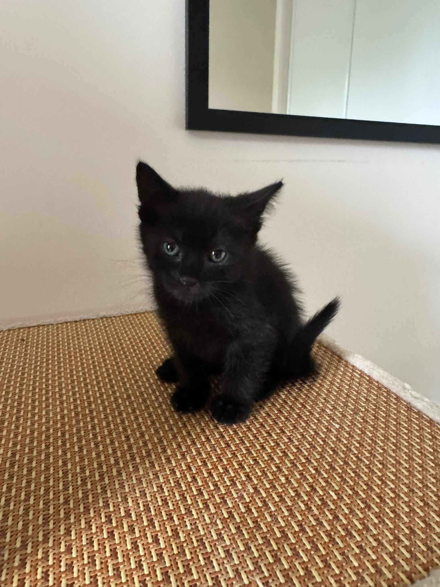 EROS