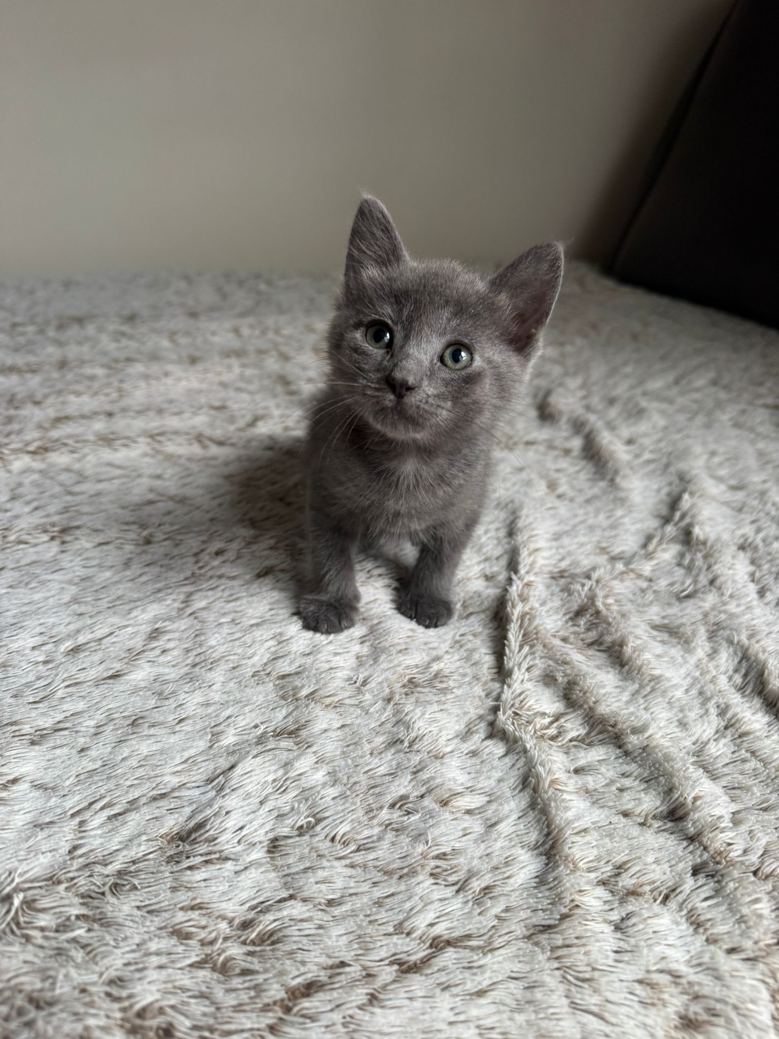 JETT