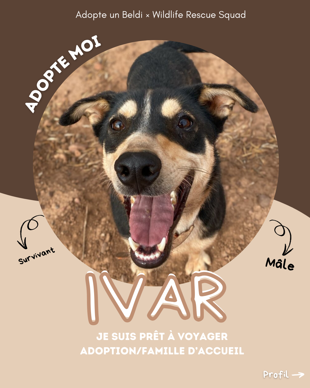 Ivar