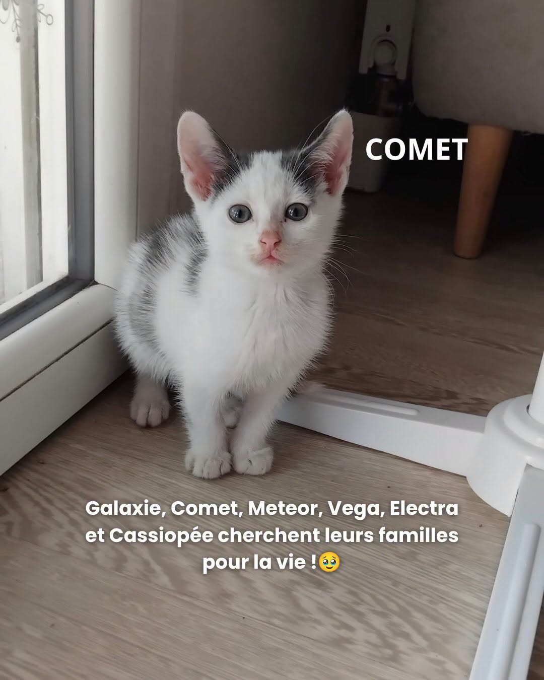 COMET