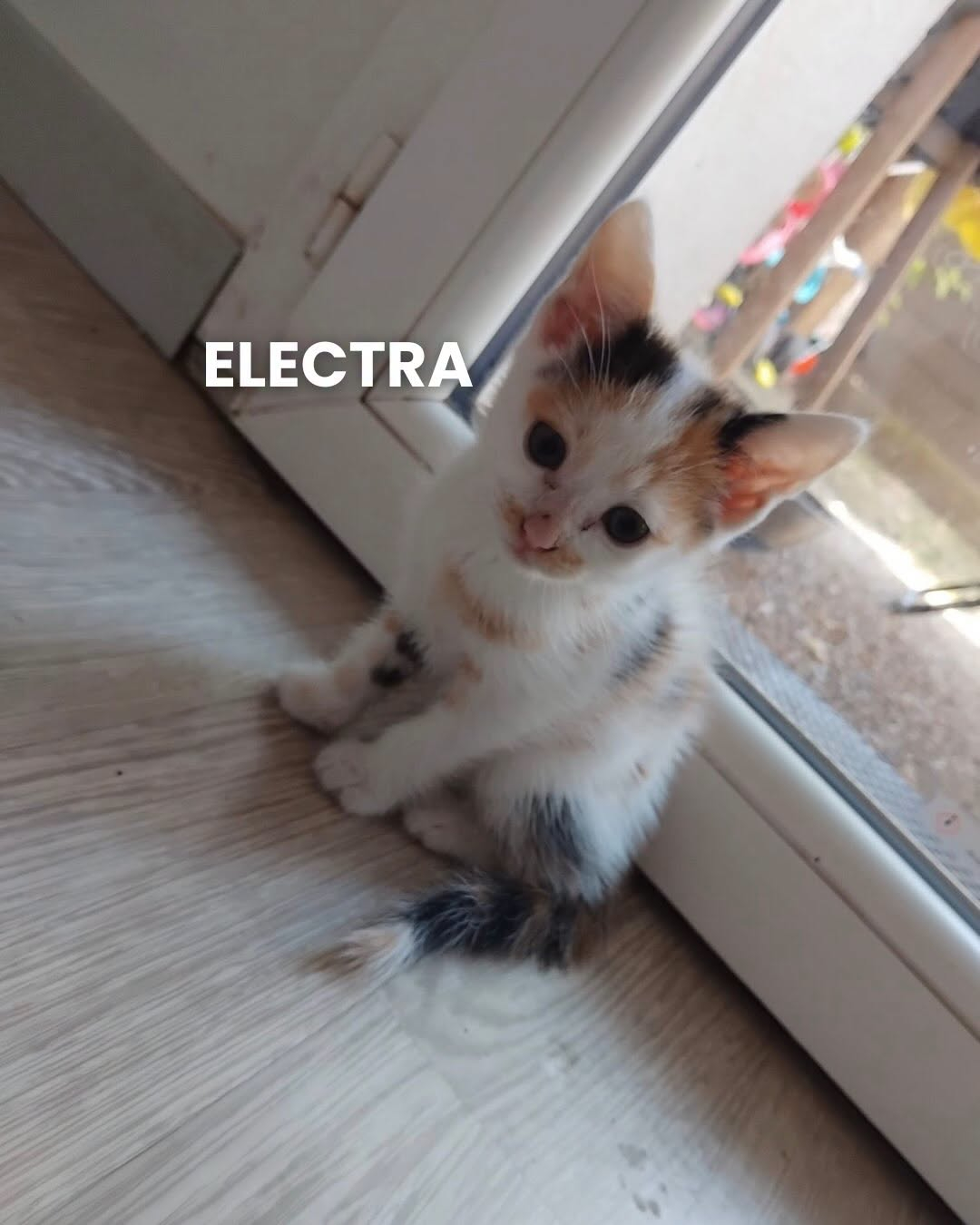 ELECTRA