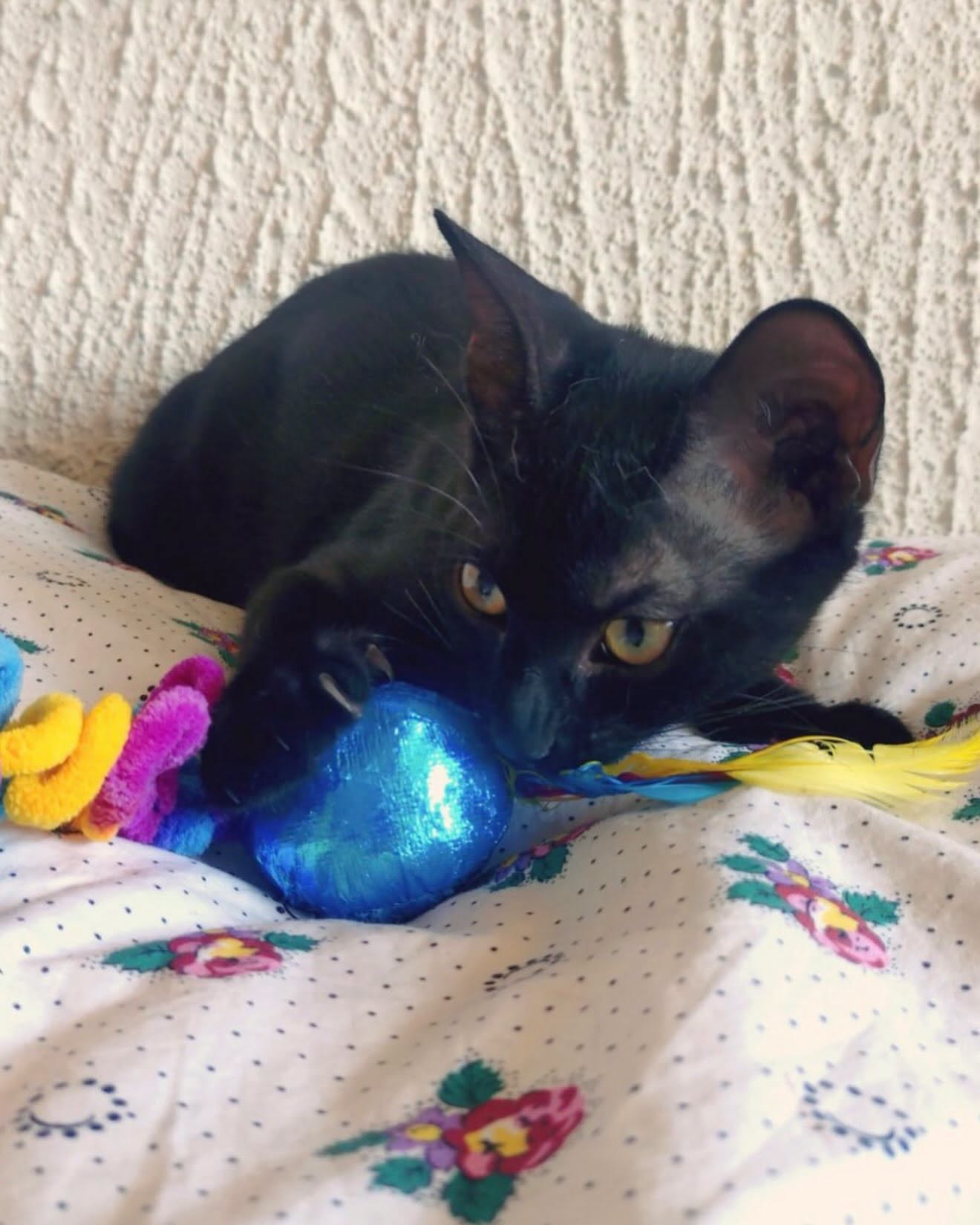 LUNA