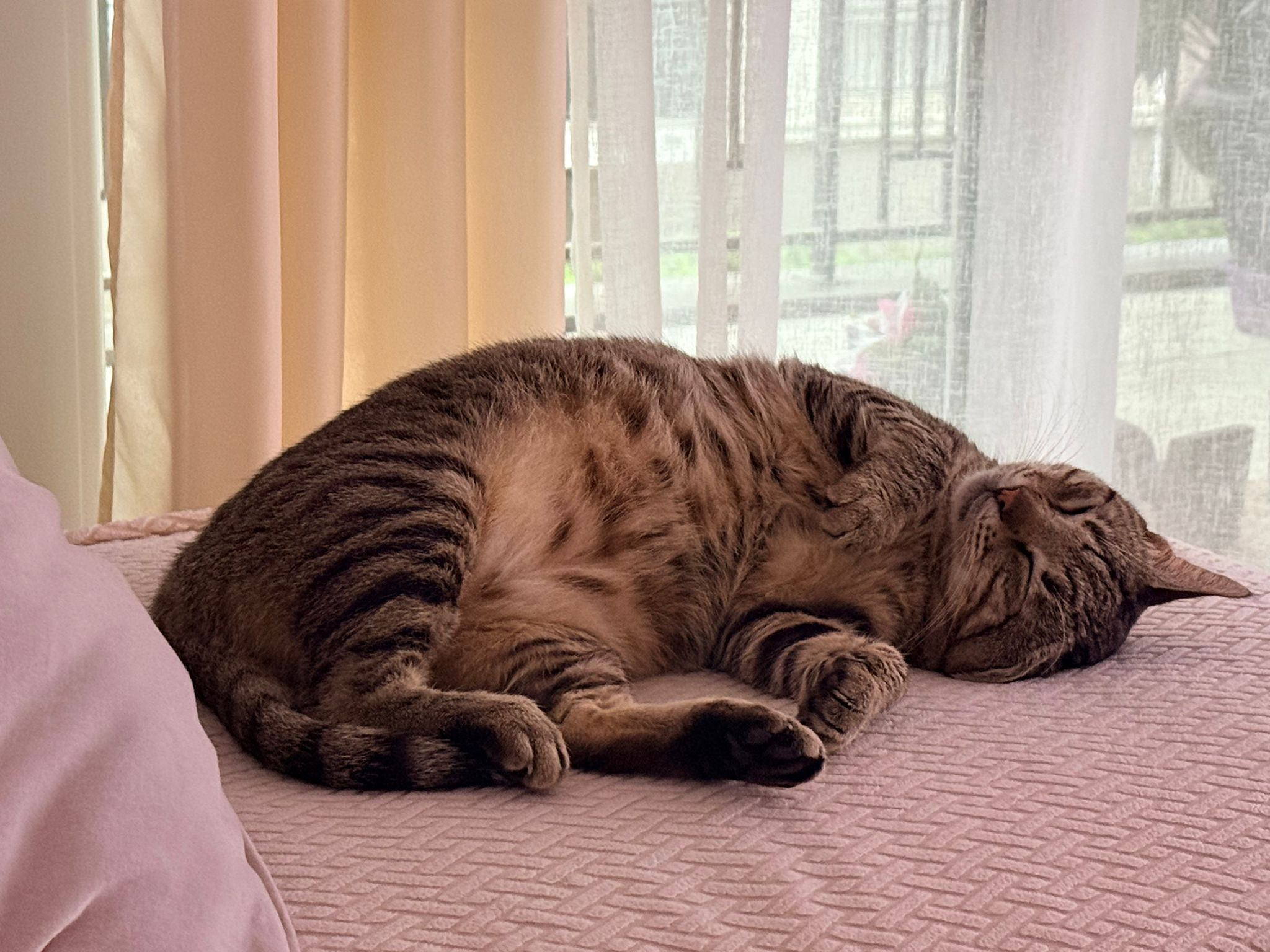 BOUBOULE