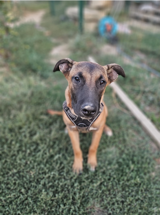 KALAGAN