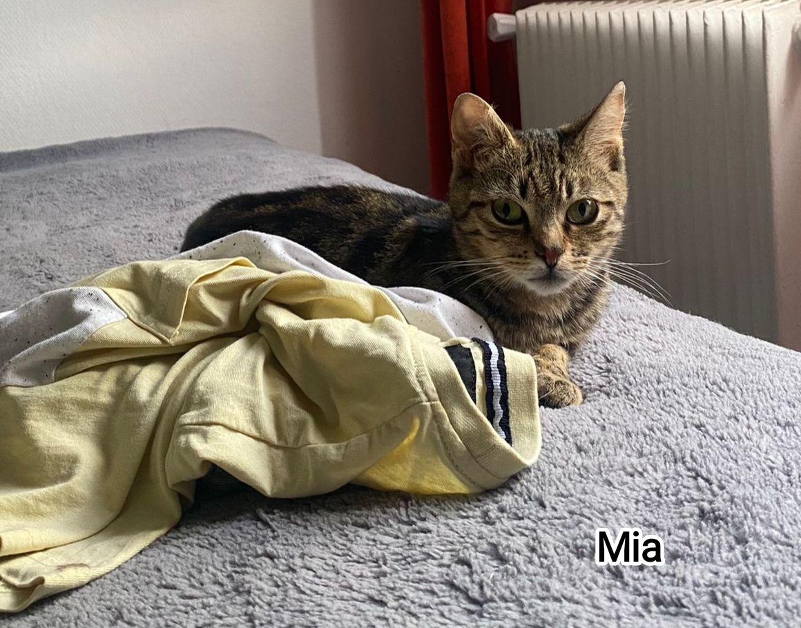 MIA