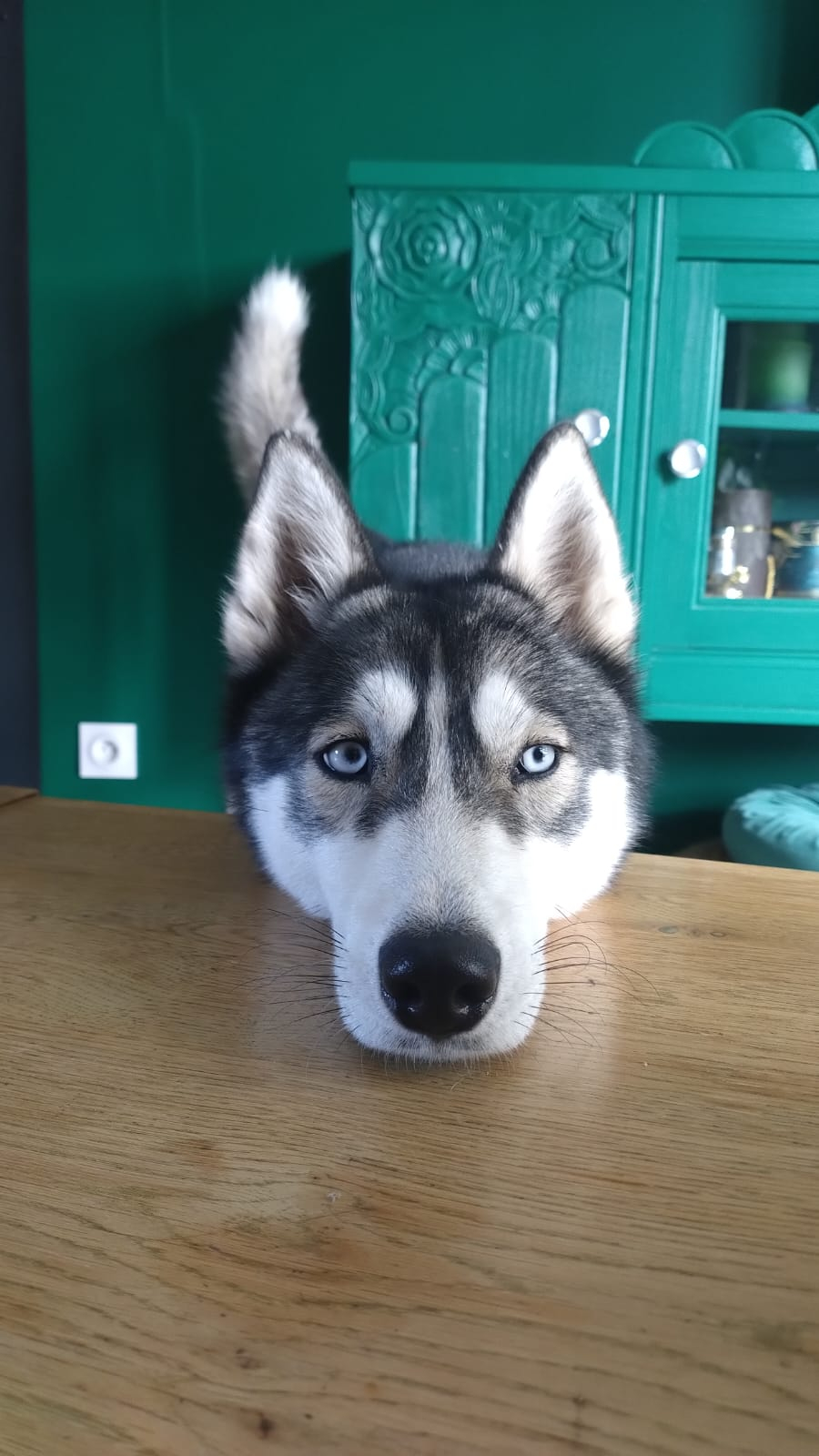 Vaya
